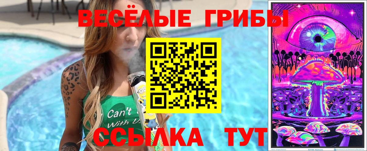 Псилоцибиновые грибы Psilocybe  Псилоцибиновые грибы Psilocybe  Вход с VPN  Лесной 